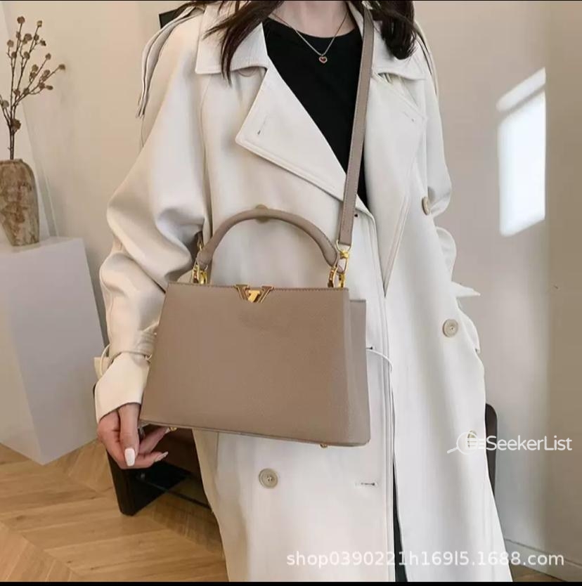 Louis Vuitton Handbags